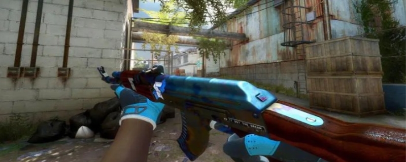 口号和仪式 口号和仪式